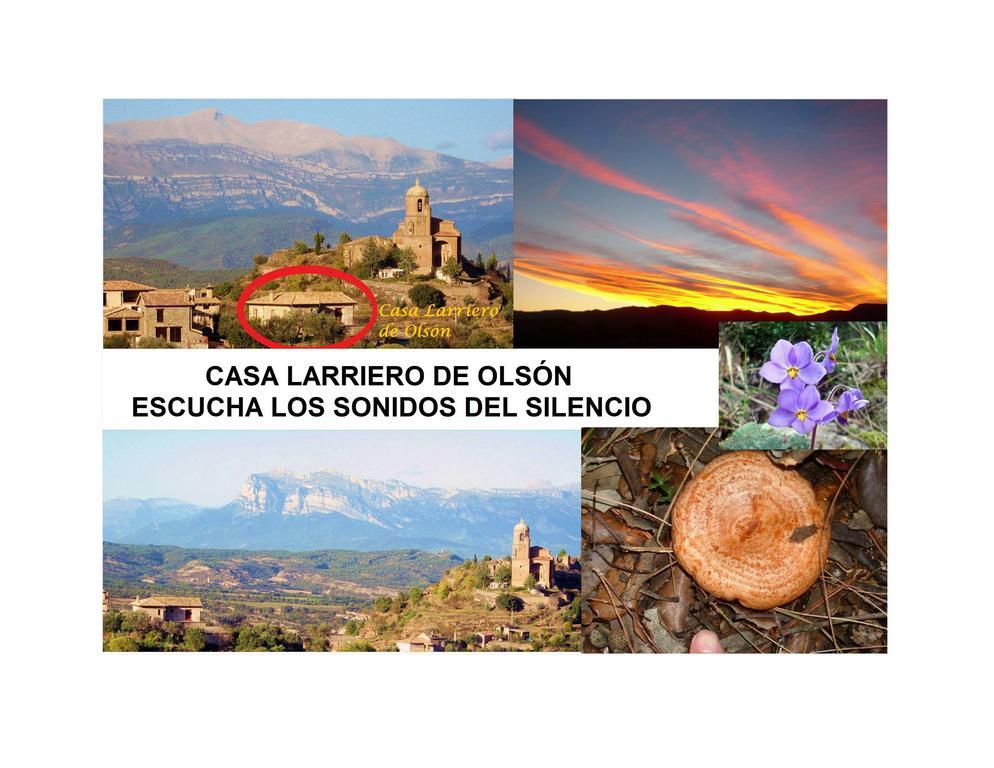 Casa Larriero De Olson Guest House Bagian luar foto